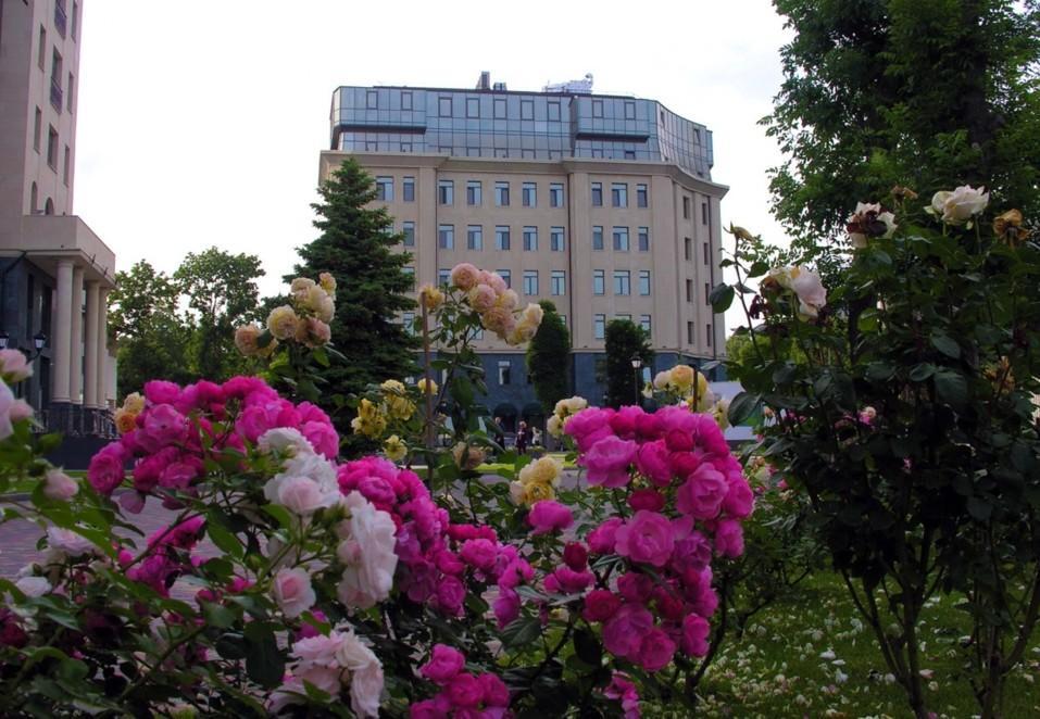 Аrcadia Nataly'S Pearls Appartments Odessa Extérieur photo